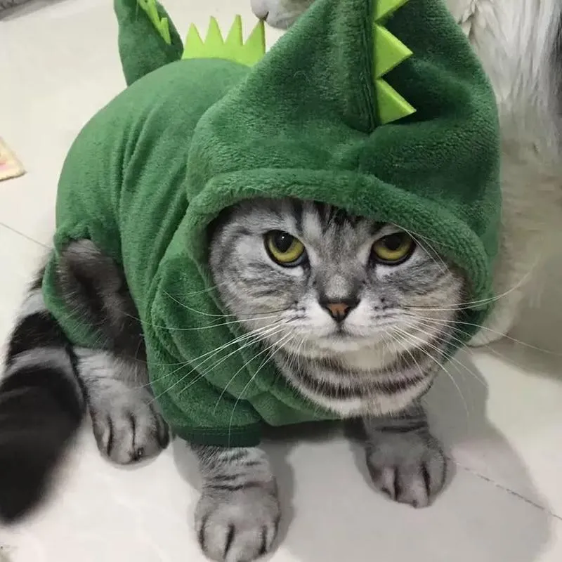 Dino Pet Jumpsuit