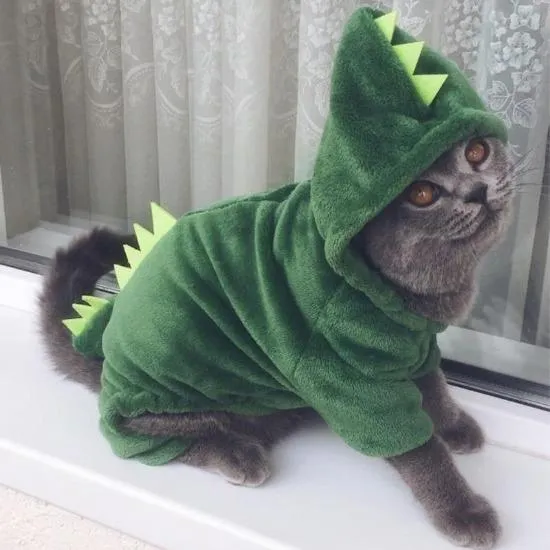 Dino Pet Jumpsuit