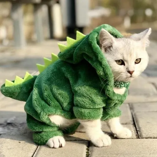 Dino Pet Jumpsuit